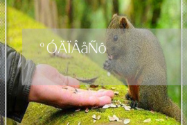 催收电话显示海南海口:揭秘电话催收背后的真相 催收电话显示海南海口:揭秘电话催收背后的真相