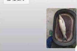 鹤壁讨债公司排名前十名:专业高效,助您无忧追债 鹤壁讨债公司排名前十名:专业高效,助您无忧追债