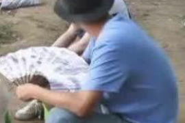 每天到公司门口静坐讨债:探讨企业债务问题的解决之道 每天到公司门口静坐讨债:探讨企业债务问题的解决之道