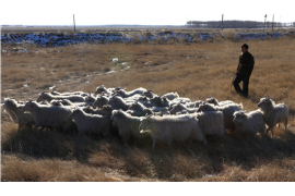 长武讨债公司联系电话:高效解决债务问题的专业途径 长武讨债公司联系电话:高效解决债务问题的专业途径